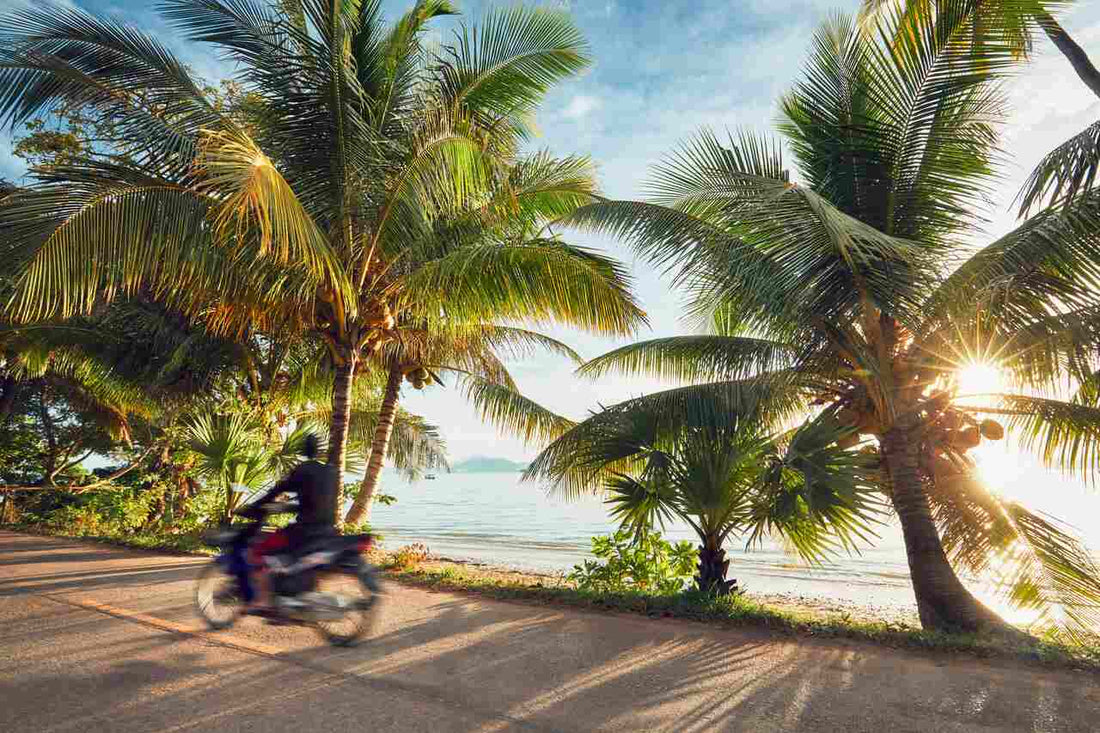 Entdecke die Insel KohKoh Tao in Thailand